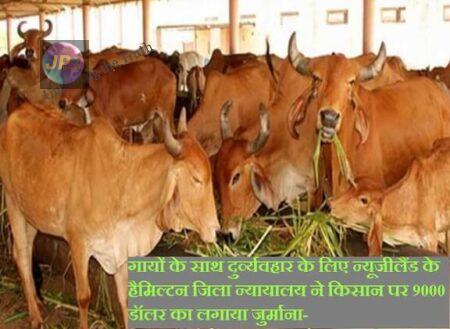 cow crime 1 e1632626340206