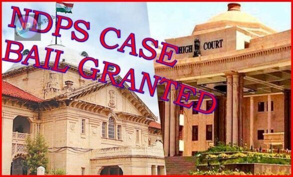 NDPS CASE : इलाहाबाद उच्च न्यायालय ने 628.28 किलो गांजा की तस्करी के आरोपी को दी जमानत- 2 NDPS bail