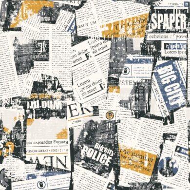 PUBLISHER DETAILS Publisher Details
