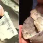 न्यायमूर्ति यशवंत वर्मा