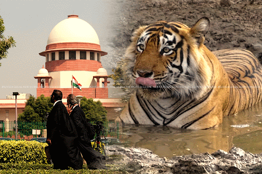 टाइगर रिज़र्व संरक्षण पर सुप्रीम कोर्ट का ऐतिहासिक फैसला: कोर्बेट में अवैध निर्माण ध्वस्त करने और देशभर में कड़े पर्यावरणीय नियम लागू करने के निर्देश 1 कोर्बेट में अवैध निर्माण ध्वस्त करने और देशभर में कड़े पर्यावरणीय नियम लागू करने के निर्देश