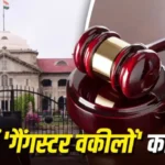 gangaster adv
