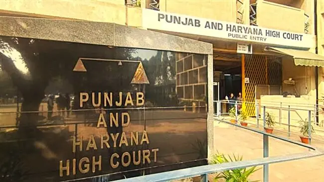 punjab-high-court